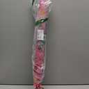 Disney Kids Umbrella, Frozen/Princess/Minnie Mouse Toddler and Little Girl Rain Wear for Ages 3-6