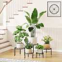 5 Pack Metal Plant Stand Heavy Duty Metal Plant Shelf for Multiple Plants Anti-Rust Iron Flower Pot Stand Holder for Home Garden