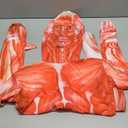 Full Bodysuit Include Zipper Helper Unisex Spandex Stretch Adult Costume Zentai Disappearing Man Body Suit (Medium, Muscle)