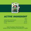Ortho GroundClear Weed & Grass Killer with Comfort Wand - Kills Dandelions, Chickweed, Crabgrass, Moss & More, OMRI Listed, Ready-to-Use Grass and Weed Killer Spray, 1 gal.