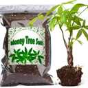 Doter Organic Money Tree Soil Mix 1qt, Indoor Plants Potting Mix for All Potted Money Tree, Grow Healthy houseplants Indoors