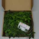 43.3 Inch Green Nandian Fake Plants 2 Pcs Greenery Stems for Vase Decor, Artificial Plants Faux Branches for Vase Filler Fake Leaves Office Home Decor