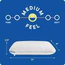 Sealy Dreamlife Queen Size Memory Foam Cooling Pillow with Surface Guard Technology, Removable Machine-Washable Cover, (2 Pack)