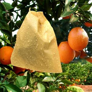 Fruit Protection Paper Bags 100pcs, 6.2X7.7inch, Suitable for: Oranges, Peaches, Apples and Other Fruits and Vegetables, Orchards, Frosts, Plant Covers (16x19.8)