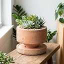 6" Rustic Weathered Terracotta Plant Pot with Drainage Saucer, Breathable Clay Planter, Mid-Century Modern Home & Garden Decor