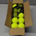 SHYUJAJIE Tennis Balls, 20 Pack Training Tennis Balls,High Elasticity Practice Tennis for Beginner, Exercise Playing Balls for Pet Dog (Yellow)
