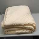 Bedsure Queen Comforter Set, Beige Soft Prewashed Bedding for All Seasons, 3 Pieces GentleSoft Bed Set, 1 Lightweight Comforter (90"x90") and 2 Pillowcases (20"x26")