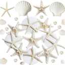 JQAQJU 16PCS Starfish and Scallop Shells for Crafts 3"-4" with Pearls, Natural Sea Shells for Crafting Beach Party Christmas Decor DIY