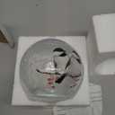 Glass Ball Light Birds Pattern Crackle Warm White Night Lamp for Bedroom Living-Room Dresser Nursery Kitchen Garden Modern Decoration Craft