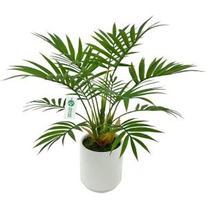 Artificial Palm Tree Plant, Potted Artificial Plant for Home Office Decoration, 12" Tall, Ships in White Ceramic Planter