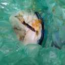 VEVOR Deionized Water System for Car Wash, Premium Water Deionizer for Car Washing with Integrated TDS Meter, Spotless Water Spot Remover Filter with Dual Outlet Mode, Fit for Cars/RVs/Motorcycles