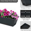 HOXHA Window Box Planter, 6 Pack 17inch Plastic Vegetable Flower Planter Boxes with Tray, Indoor Outdoor Flower Pots for Windowsill, Patio, Porch, Garden Balcony, Dark Gray