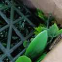 ODTORY Artificial Greenery Wall Panels: 70'' x 120'' UV-Anti Faux Greennery Grass Wall Privacy Backdrop Fence Screen for Garden Fence Covering Privacy, Outdoor Indoor Home Decor