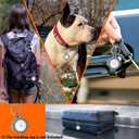 Durable 2-inch AirTag Dog Collar for Medium Dogs  Reflective, Heavy-Duty Metal Buckle, Comfortable Mesh Lining, Includes Patch and AirTag Holder (Pink, Medium: Fit 15" - 18" Neck)