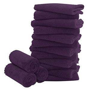 16 Pack Baby Washcloths - Luxury Coral Fleece - Extra Absorbent and Soft Wash Clothes for Newborns, Infants and Toddlers - Suitable for Sensitive Skin and New Born - Baby Shower - Plum, 10x10 Inch