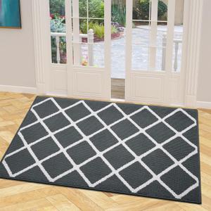 Finchitty Indoor Door Mat, Dirt Resistant and Absorbent, Low-Profile, Non-Slip, Washable Inside Floor Mats for Front Door, Back, and Entrance, 48" x 32", Charcoal