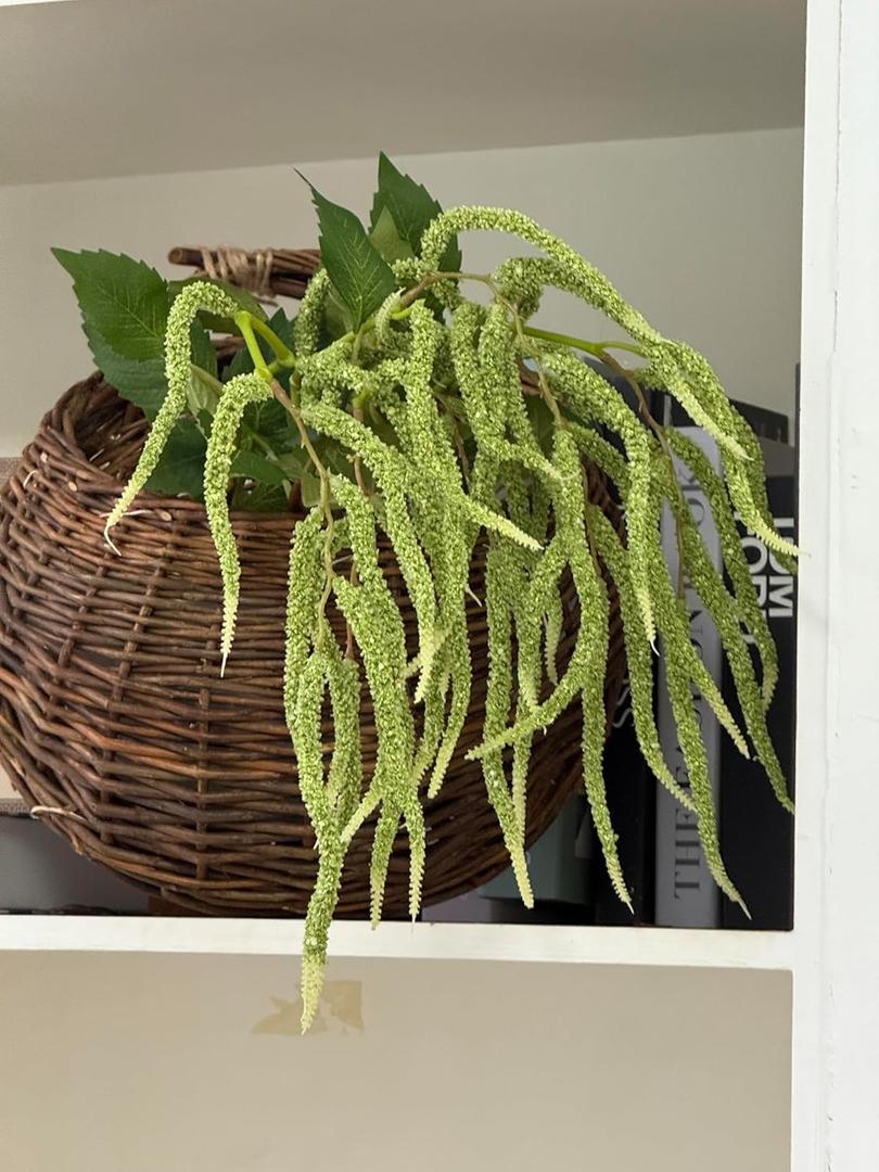 3Pcs Artificial Amaranthus Flower Fake Hanging Green for Wedding Bouquets Home Decor Arrangement Photo Props Party Decoration 37''(Green)