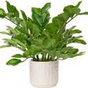 Briful Faux Plants Indoor 17" Artificial ZZ Plants in Ceramic Pot Fake Potted Zamioculcas Silk Plants for Home Table Decor Bedroom Aesthetic (1Pack)