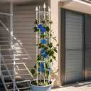 Thealyn Garden Trellis 2 Pack 72'' H x 12'' W Metal Plant Trellis Indoor/Outdoor Metal Garden Trellis Plant Trellis for Potted Plants Climbing Houseplants Flowers