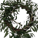 Plant Wreathe 14in
