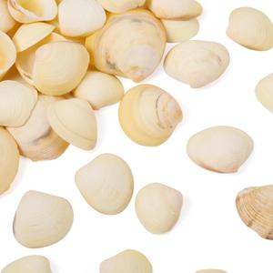 Craftdady 200pcs Small Seashells Natural Shell for Vase Filler Scallop Shells for Beach Theme Party 23x27 mm for Fish Tanks DIY Craft Home Decor (Blanched Almond)