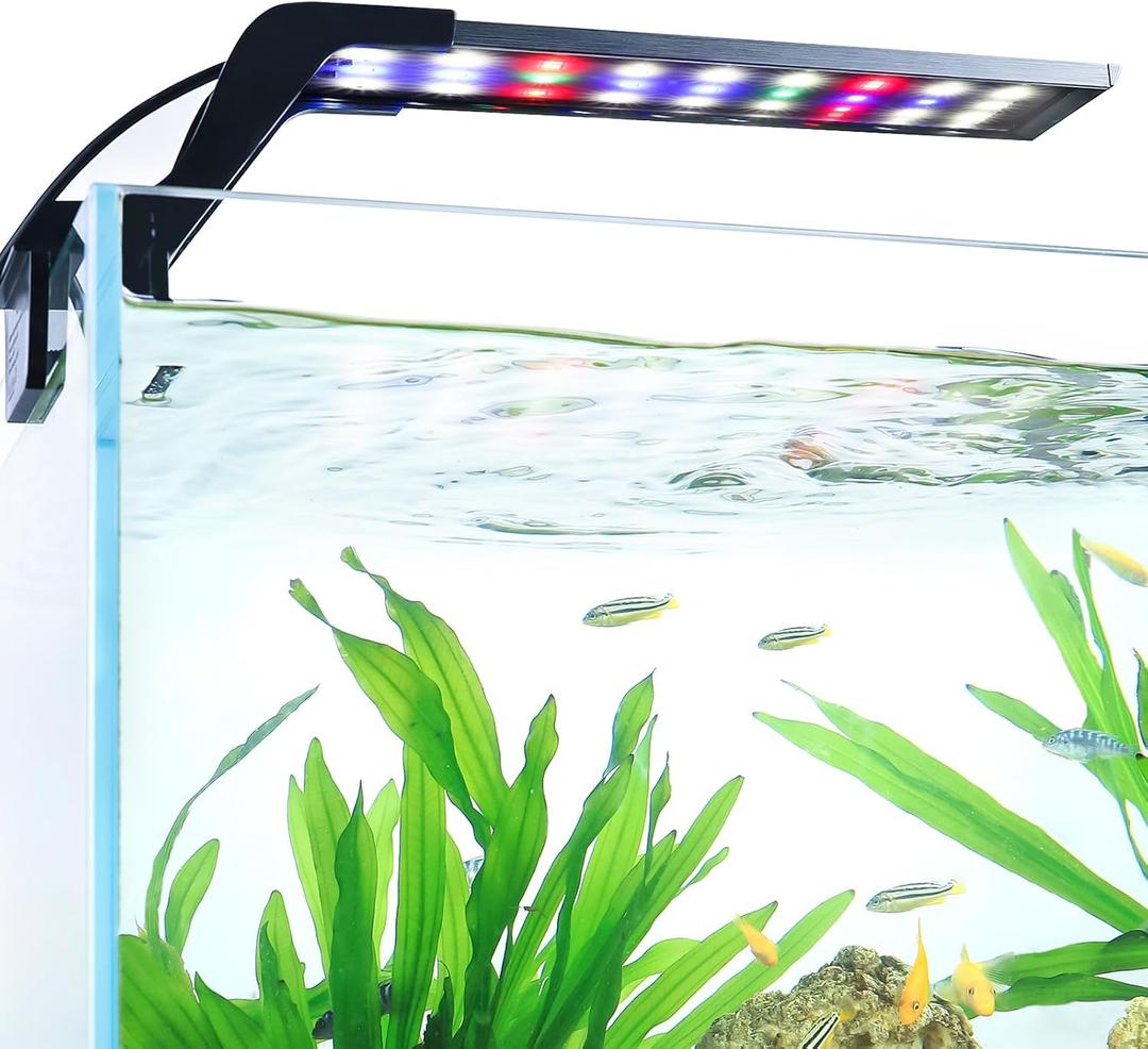 AQQA Aquarium Clip On Light,Fish Tank Full Spectrum LED Light, 24/7 Sunrise Sunrise Mode+10 Adjustable Brightness Levels+Detachable Bracket+RGB LEDs + USB and Adapter, for Freshwater (8W)
