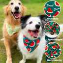 Cute Fruit Dog Bandanas 2 Pack, 4 Patterns Watermelon Lemon Orange Melon, Summer Dog Bibs for Large and XL Breed, Reversible Boy and Girl Pet ScarfLarge