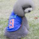 GabeFish Dog World Cup T Shirt Pets Football Jersey Sports Soccer National Team Vest Cat Summer Cool Clothes Apparel Italy Medium