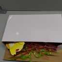 JOYIN 36 Pack Valentines Day Gift Cards with Colorful Loop Reusable Drinking Straws for Kids, Valentine Party Favors Toy for Girls Boys Toddlers School Classroom Gift Exchange Prizes