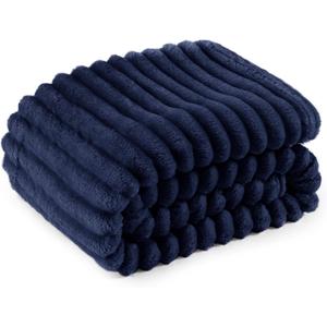 Bedsure Blue Fleece Blanket for Couch - GentleSoft Cozy Soft Blankets for Women, Cute Small Throws for Girls, 60x80 Inches