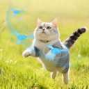 Mipcase Interactive Cat Toy Flying Disc Launcher Set 1 Launcher with 3 Gyroscope Discs Outdoor Flying Disc Toy for Indoor Carpet Park and Grass Play