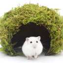 Hamster Hideout - Large, Natural Moss, Handcrafted for Syrian Hamsters, Rats & Guinea Pigs, Safe & Eco-Friendly