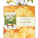 Serenity Orchid Pop-Up Flower Bouquet