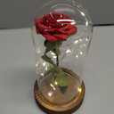 SW Preserved Rose Enchanted Rose Red Silk Rose in Glass Dome with LED Lights Pine Base, Romantic Home Decor Gifts for Mom Women Valentines Day Christmas Mothers Day Wedding Anniversary Birthday