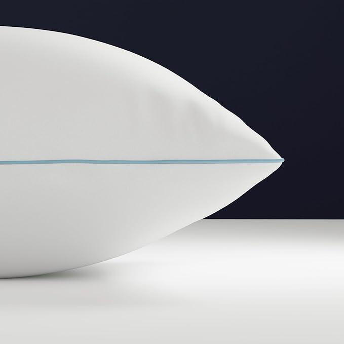 2 Pillow Protectors, Zippered Hypoallergenic Down Proof Pillow Covers, 600 Thread-Count - 100 % Cotton Pillows Protector, White, Standard / Queen Size