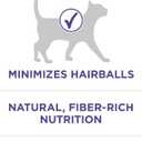 Purina ONE Natural Cat Food for Hairball Control, +PLUS Hairball Formula - 22 lb. Bag (EXP: OCT 2027)