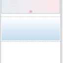 DocuGard Blue/Red Galaxy Premier Prismatic Top High Security Check Paper - QuickBooks & Laser/Inkjet Printer Compatible - 13 Security Features - 500 Blank Business Checks (04562)