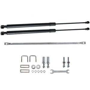 WFLNHB Rear Trunk Hydraulic Rod Strut Spring Gas Shock Replacement for Accord 10th Gen 2018 2019