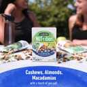 2 x PLANTERS NUT-rition Wholesome Nut Mix, 7.5 oz Box (Contains 7 Individual Pouches) - Cashews, Almonds and Macadamias Snack Mix - No Artificial Flavors, No Artificial Colors, No Preservatives - Kosher (EXP 05/09/26)