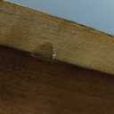 Kate and Laurel Foxford Modern Tiered Round Drink Table, 12 x 12 x 30, Light Natural, Transitional Two-Tier Circle Plant Stand for Use as Living Room Pedestal Table or Small Bedroom Nightstand