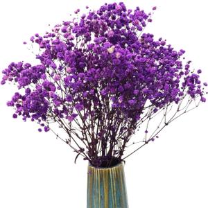 TooGet Purple Dried Flowers Dried Babys Breath Flowrs Bouquet Natural Gypsophila Branches for Home Decor, Wedding, Table Decor, DIY Wreath Floral, Dry Flowers Bulk for Vase