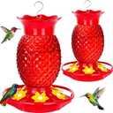 Fchstaer Glass Hummingbird Feeders for Outdoors Hanging 16oz 2 Pack Red Pineapple Bee & Ant Proof 360Perch Leakproof Easy Clean with 6 Feeding Ports Gifts for Mom