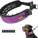 Mayerzon Patented No Pull Collar for Small Medium Large Dogs Beagle German Shepherd Rottweiler, Martingale Anti Pull Dog Collar with Buckle for Walking Training, Reflective, Adjustable, Waterproof (Medium,2.5mm,13.75"-18.5"Neck, Purple)