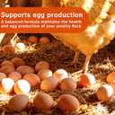 2 x Probiotic + Electrolyte Powder for Chickens, Natural Hydration & Gut Support, Helps Digestive Health, Egg Production, Best By: 2025/12/19