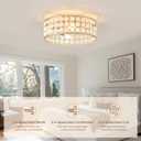 20"Boho Ceiling Fans with Lights and Remote Capiz Fandelier Ceiling Fan with Light Coastal Enclosed Caged Ceiling Fan for Bedroom，Nursery,Foyer,Kitchen(6 Speeds Gold Shade and White Shells ), Medium