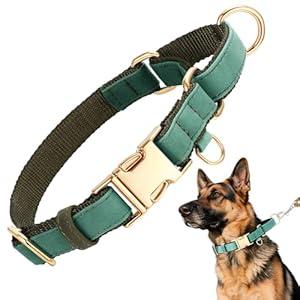 TOBYTO Martingale Dog Collars for Small Medium Large Dogs, No Pull Dog Training Collars Quick Release Buckle Adjustable Martingale Collars Escape Proof, Green(L:17"-21")