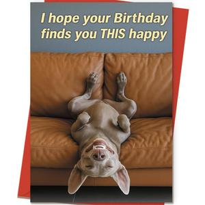 8 x ICOOLYI Funny Birthday Card and Gift for Men or Women – Hilarious and Lighthearted Decorative Design – Perfect for Friends, Family, Coworkers, Him or Her