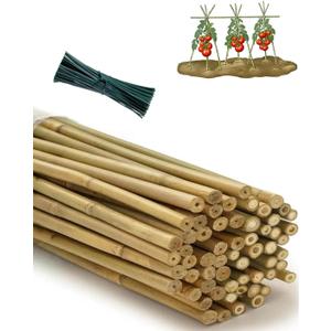 4 Ft Bamboo Stakes for Plant with Twist Ties 60 pcs Bamboo Sticks Plant Support Garden Stakes Poles for Tomatoes Cucumber Grapes Pole Beans Trees Potted Dahlia Flowers