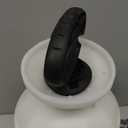 Chapin International 27010 Sprayer, White Translucent