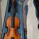 Professional Violin Set Adult Practice Violin 4/4 Size Full Pressed Solid Wood(Red,4/4)